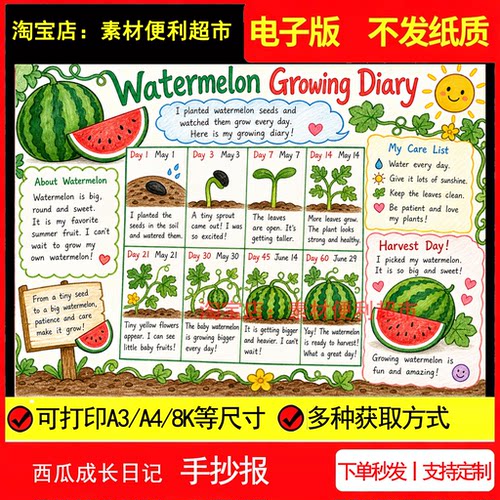 watermelon growing diary 西瓜成长英文手抄报电子模板笔记线稿