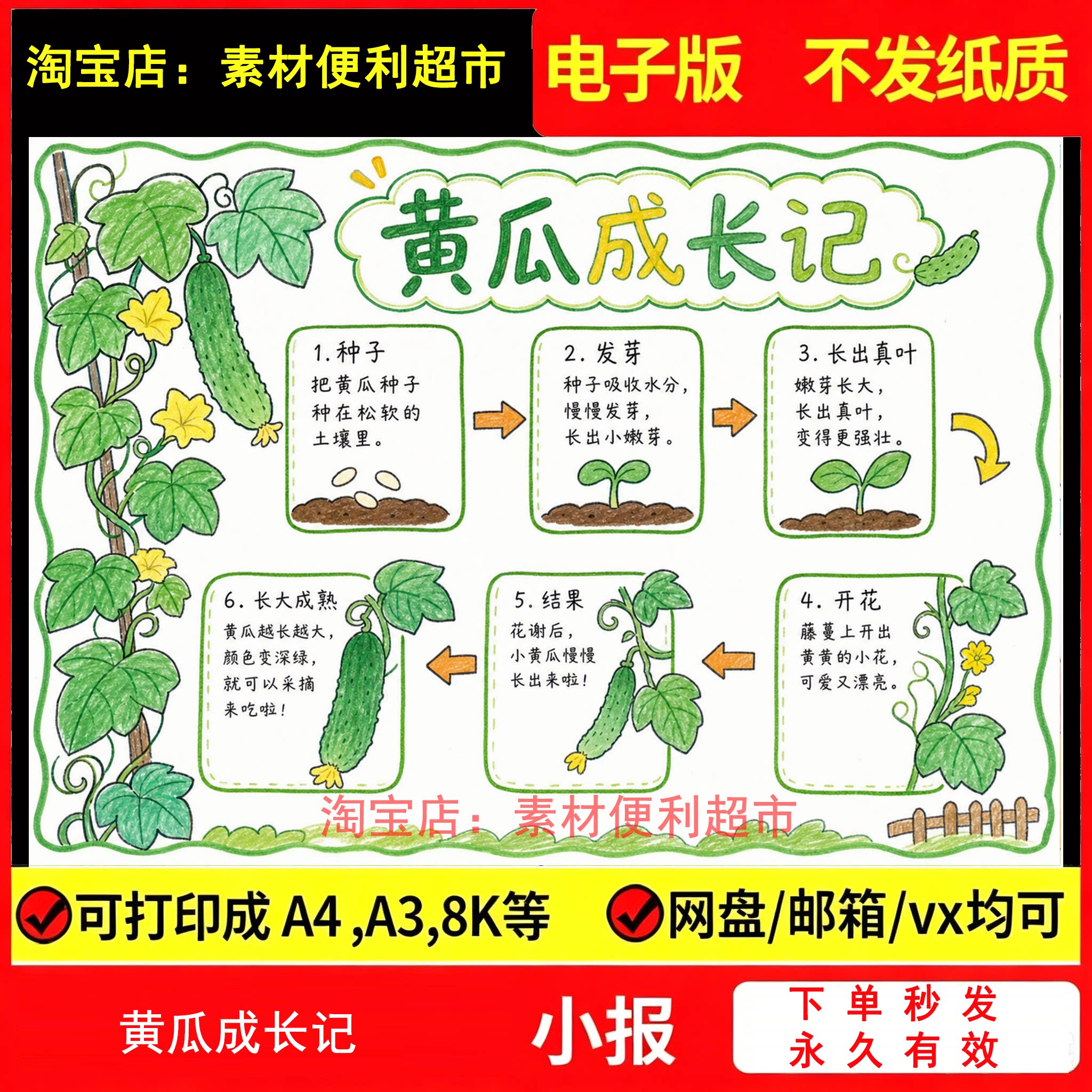 黄瓜生长过程成长记手抄报电子模板学生植物蔬菜观察自然笔记手绘