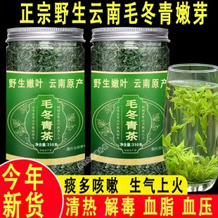云南毛冬青茶新茶正宗特级野生毛冬青嫩芽茶泡水喝养生茶250g正品