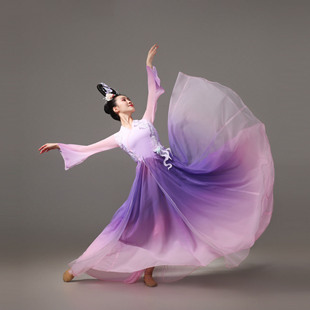 阿幸古典舞蹈服抒情裙艺考服表演服独舞飘逸古典舞头饰仙气舞蹈服