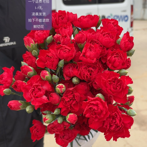 漂浮多丁～超推荐 不包邮