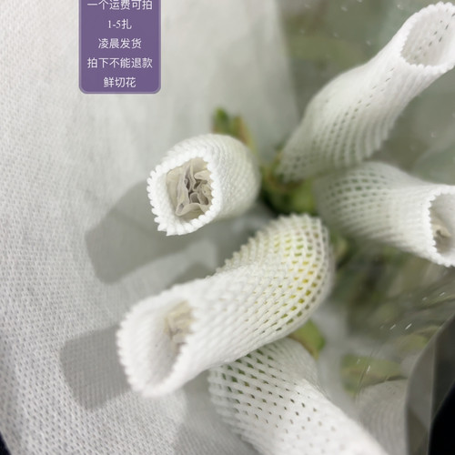 白色德国鸢尾 不包邮