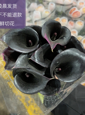 黑色海域10支bu bao you