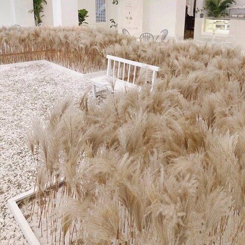 天然橱窗麦穗永生花束婚庆道具