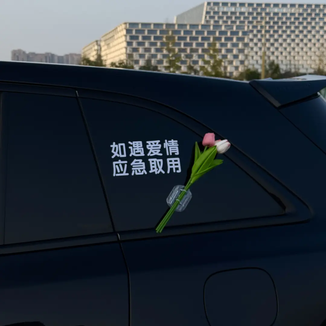 如遇爱情应急取用车贴纸