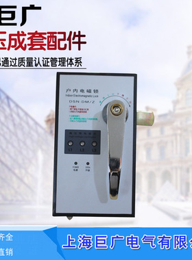 KYN28A柜锁户内电磁门锁DSN-DM/Z /Y DSN-DMZ DSN-DMY高压电磁锁