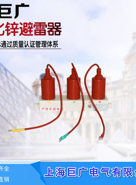 巨广35kv组合避雷器TBP-B-7.6F/131三相组合式过电压保护器