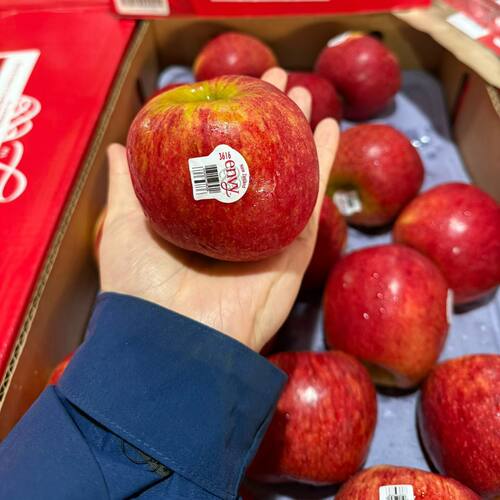 新西兰进口envy爱妃苹果15颗礼盒