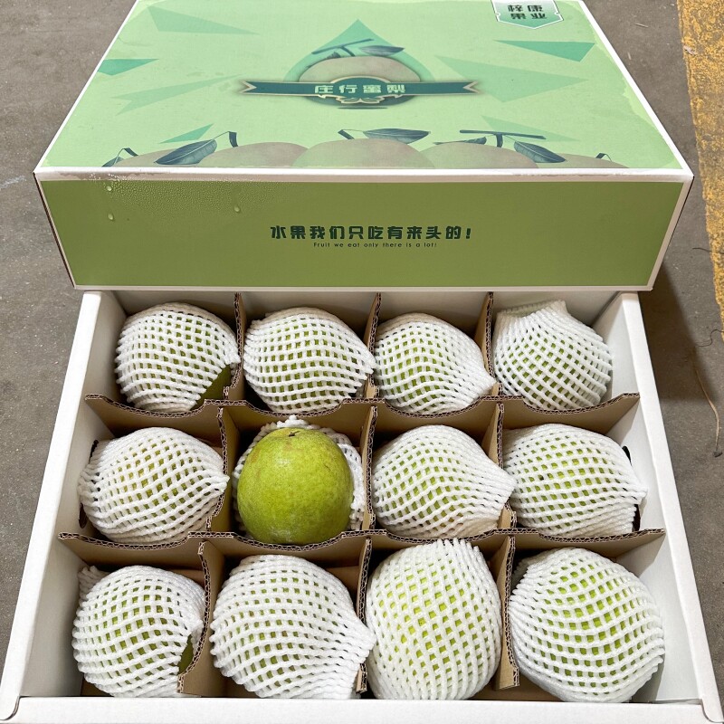 庄行蜜梨12只礼盒装脆甜多汁生梨