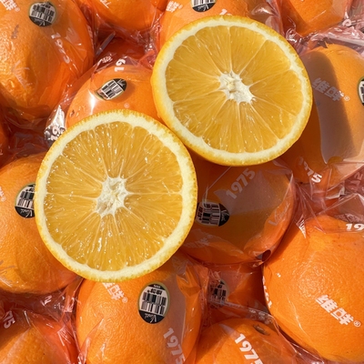 维鲜黑标1975脐橙子5斤赣南脐橙
