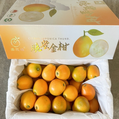 广西融安脆蜜金桔56A大果礼盒装