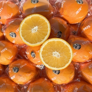 包邮 现货维鲜黑标1975脐橙子5斤多汁当季 水果大果赣南脐橙Weixian