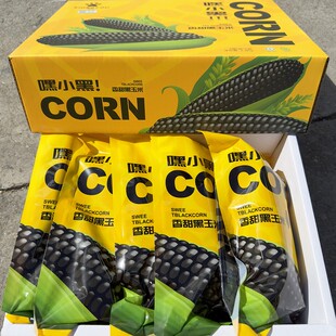 现货熊佑嘿小黑有机甜糯黑玉米10根礼盒装黏糯香甜新鲜玉米棒包邮