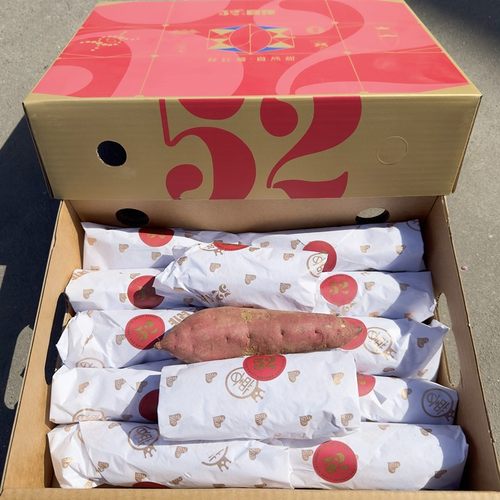 新货52度良作红薯新鲜沙地番薯