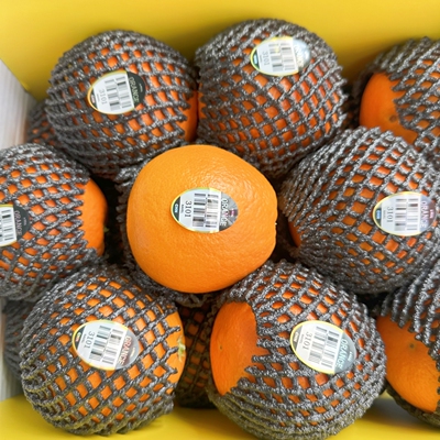 黑标3107脐橙子5斤秭归伦晚脐橙