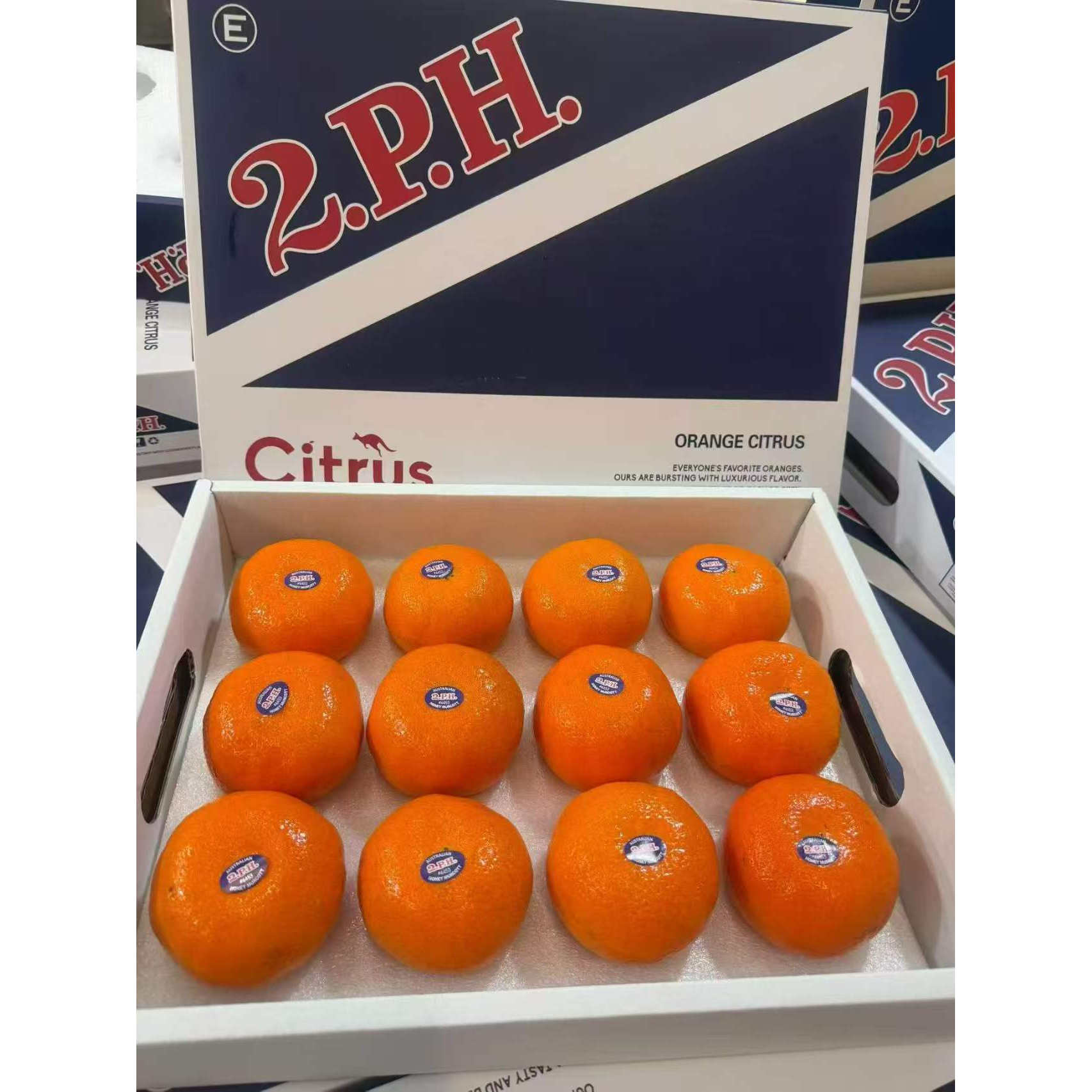 现货澳大利亚进口2PH澳橘12颗礼盒装新鲜多汁水果澳桔澳柑好包邮