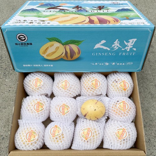 云南石林火山岩人参果礼盒装5斤