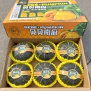 包邮 现货贝贝小南瓜板栗味5 6只礼盒辅食香甜糯贝贝南瓜新鲜蔬菜