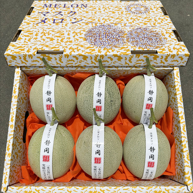 山东网纹蜜瓜6只礼盒网纹哈密瓜