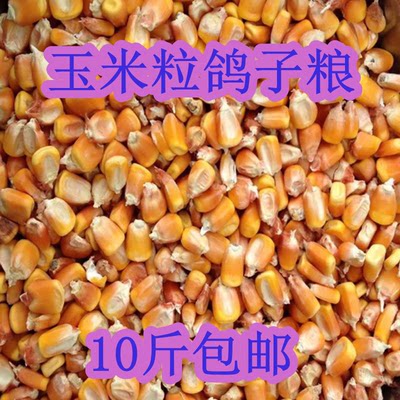 新玉米新干鸽子粮鱼食玉米粒