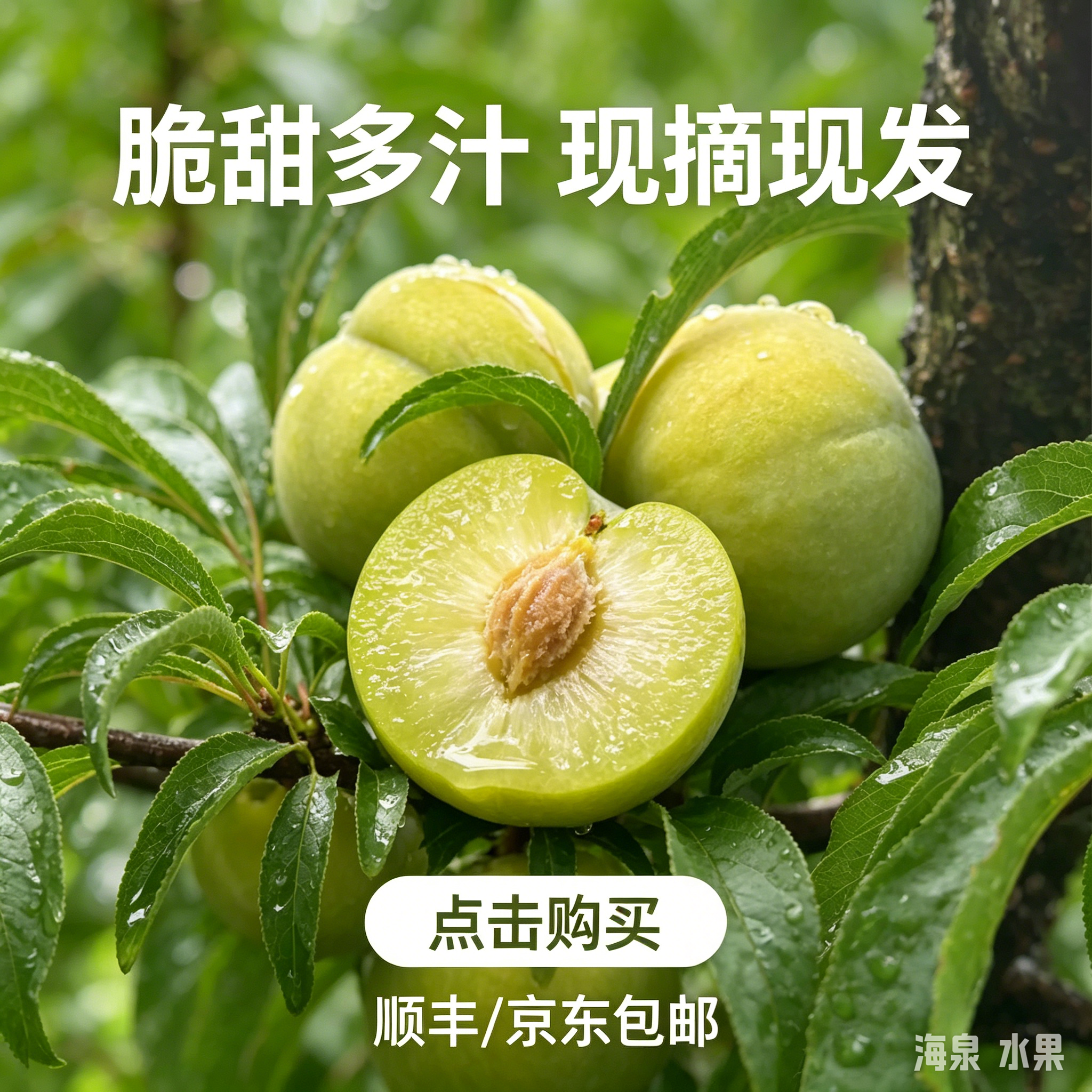 贵州六马蜂糖李5斤现摘离核甜
