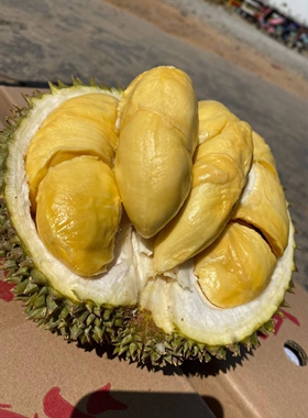 泰国进口甲仑榴莲果肉饱满香气浓郁软糯香甜果核较大如介意者慎拍