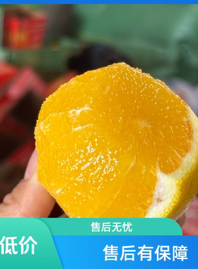 云南玉溪新鲜褚橙花斑果果肉细腻无渣补充维c的小能手