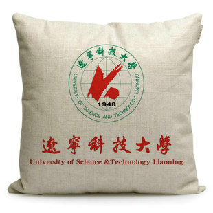 新款辽宁科技大学纪念品定制校徽印字周边毕业生礼品赠品靠垫午休