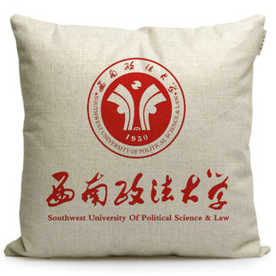 西南政法大学纪念品周边定制校徽礼品送学生礼物靠垫抱枕