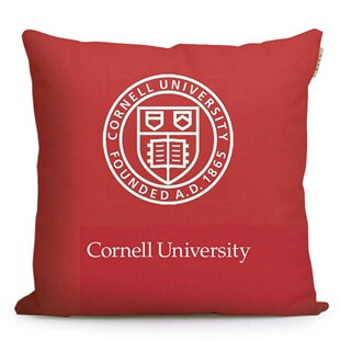 Cornell University美国康奈尔大学纪念品定制校徽抱枕