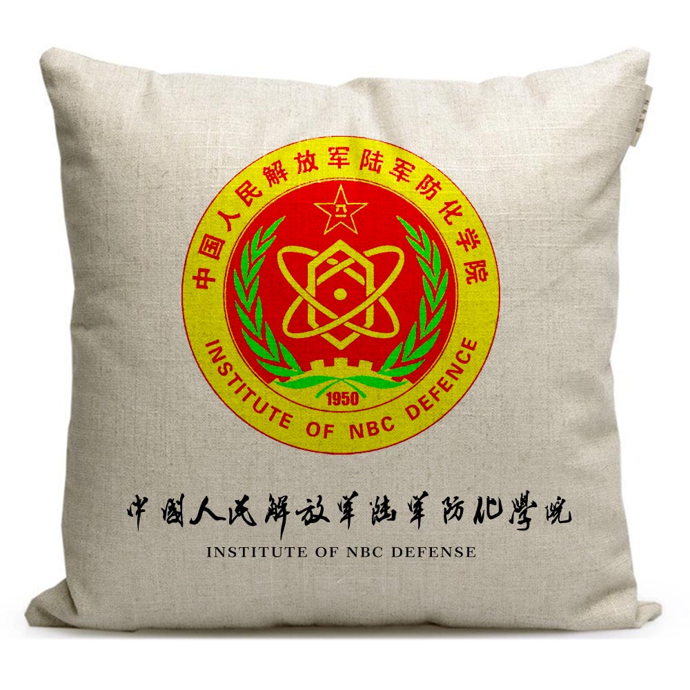 陆军防化学院周边定制毕业纪念品军校军旅主题沙发靠垫靠枕抱枕