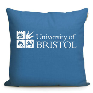 英国名校周边 布里斯托大学纪念品Bristol周边校徽靠枕抱枕