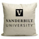 美国周边 范德堡大学纪念品定制布艺沙发抱枕