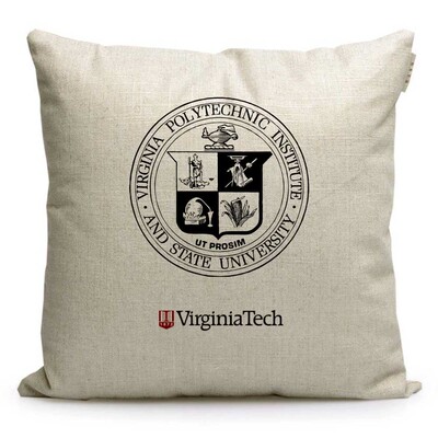 大学纪念品布艺抱枕定制