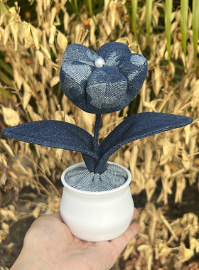 珍珠梅活性炭盆花摆件办公室