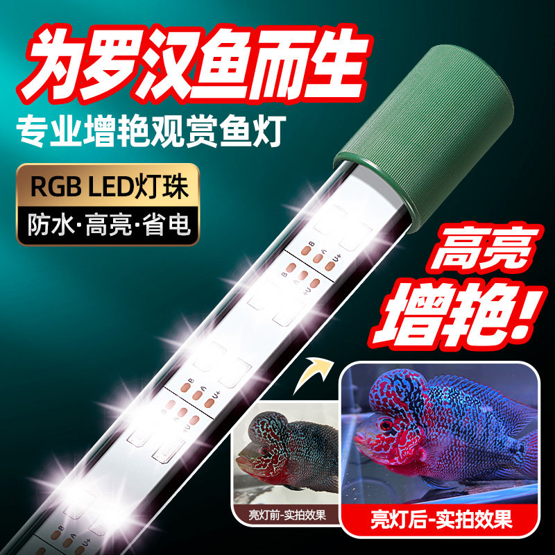 高亮蓝色吉罗增艳大缸鱼缸led灯罗汉鱼锦鲤鹦鹉防水三基色增艳灯图片
