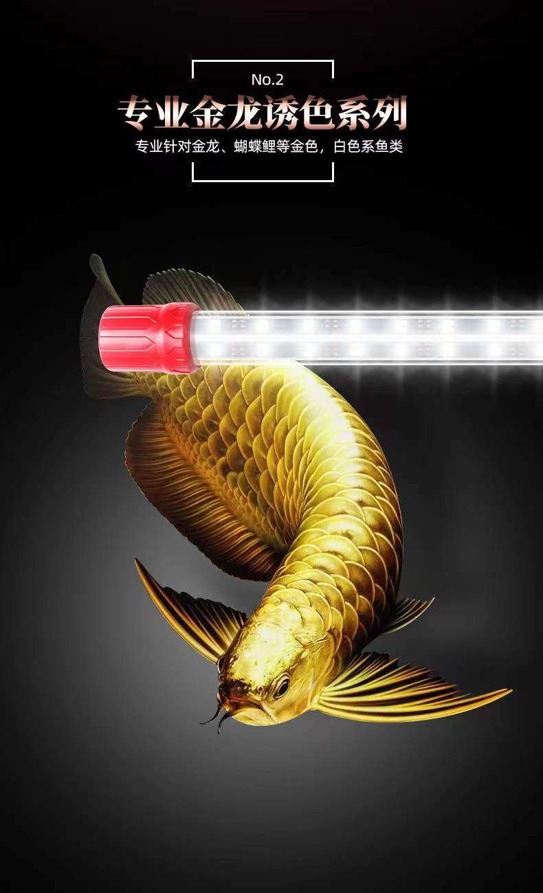 鱼缸灯LED灯照明灯防水水族箱金龙鱼灯黄色鹦鹉鱼黄色锦鲤专用灯