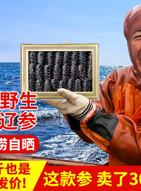 老獐9年野生海参干货大连辽参淡干深海渗非即食500克特价海参礼盒
