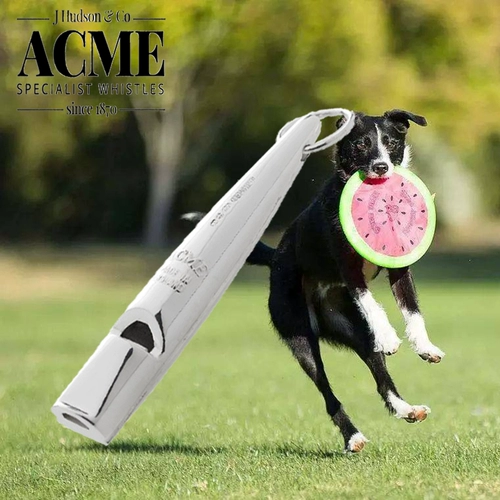 210.5-925 Pure Silver Dog Wheistle Weezeing High -Sound Single -Video отлично