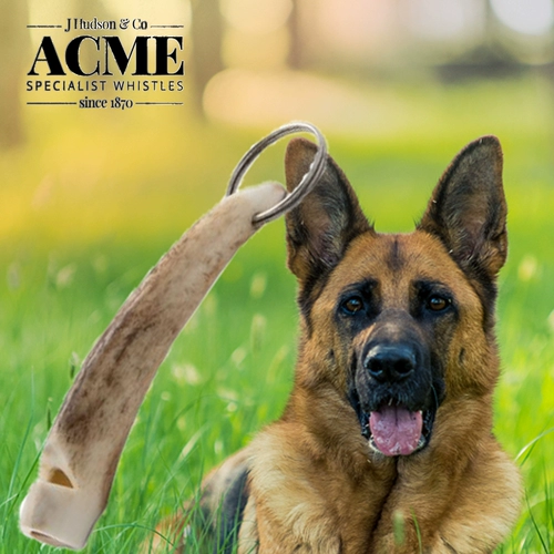 811 Тренировка собак, костный свист, дрессировка, мастер натуральный рога, рога, с кожаной веревкой, британская оригинальная оригинальная спина подлинная гарантия