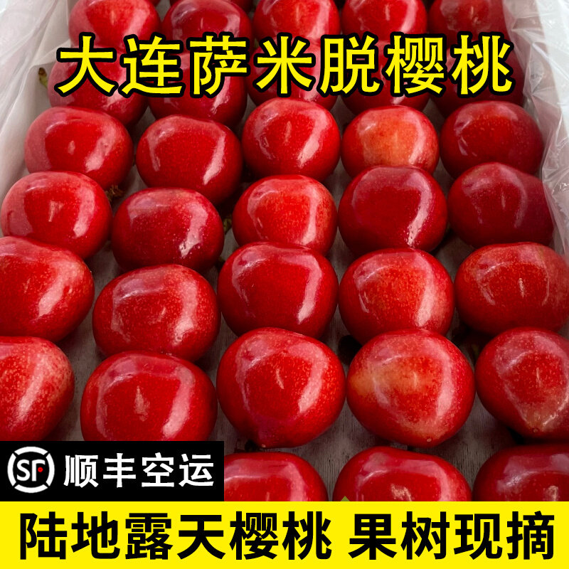 大连樱桃自家果园现摘现发