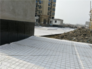 园林绿化市政工程白色土工布果树农业毛毡布毡子育秧大树黑心棉