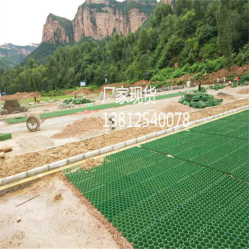 厂家直销5公分塑料消防通道海绵城市广场园林花园绿化植草格.