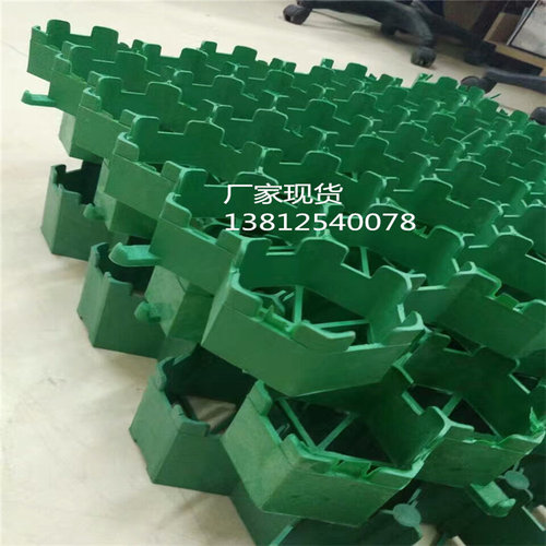 上海厂家现货消防通道停车场专用步行街绿化环保塑料植草格3.8/5/