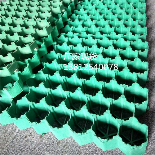 生产供应停车位消防通道斜坡绿化抗压植草格5公分植草板厂家直销