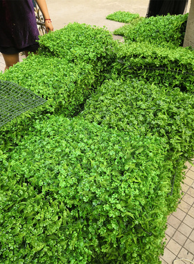 仿真植物墙绿植墙面背景墙阳台装饰户外绿色绿化墙装饰江浙沪安装