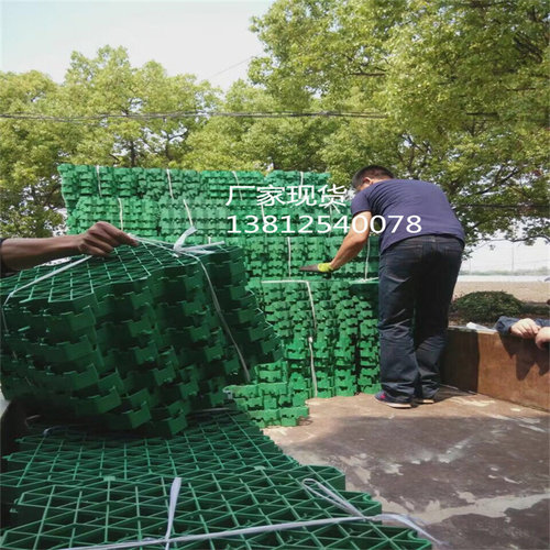 植草板生产厂家供应停车位消防通道斜坡绿化植草格5公分植草坪