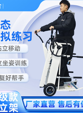 泰合截瘫站立架轮椅车残疾人学步车架助行器辅助行走器康复代步车