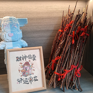 天然野生桃木枝桃树枝东南枝宝宝婴儿出院惊吓啼哭压惊桃木桃枝条