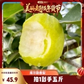 新疆库尔勒香梨当季 林依轮直播间 水果新鲜现摘